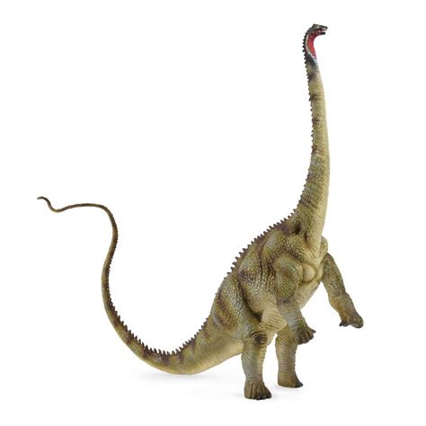 Buy Collecta Diplodocus Dinosaur Toy Dinosaur Figure Authentic Hand