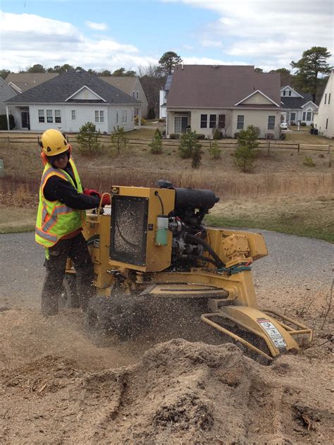 how much to grind a tree stump 2