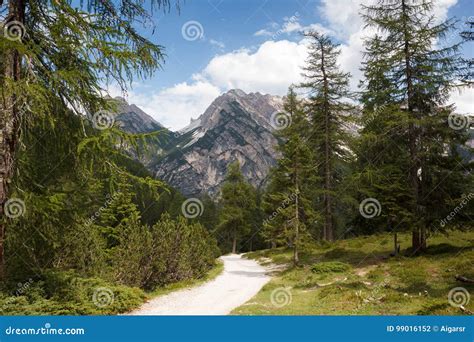 Hiking trail in Italy Alps stock photo. Image of scenic - 99016152