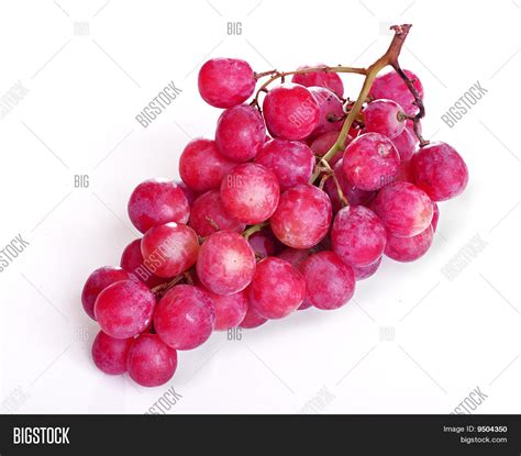 Purple Grapes Image & Photo (Free Trial) | Bigstock