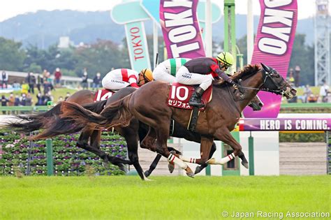 Horse Racing in Japan