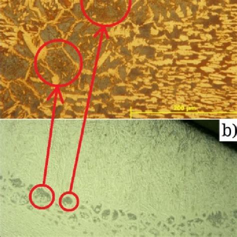 Microstructure images of the heat-affected zone of the sample welded... | Download Scientific ...