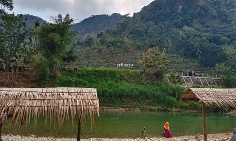 Desa Wisata Sriharjo Desa Wisata Hits Bernuansa Alam Di Bantul Jogja