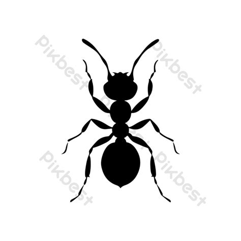 Ant Silhouette-4 PNG Images | EPS Free Download - Pikbest