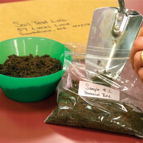 Basics of Soil Testing - Fine Gardening