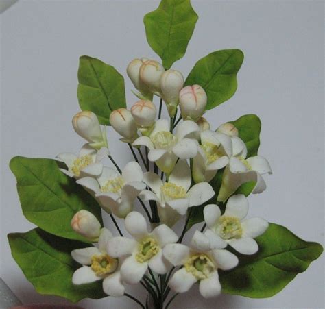 Orange Blossom Bouquet Lost Of Sweet Tradition And Symbolism And They