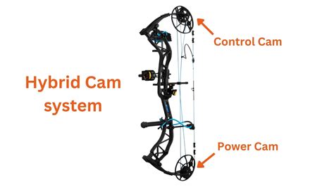 The Different Types Of Compound Bow