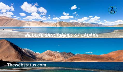 List Of Wildlife Sanctuaries Of Ladakh