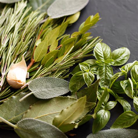 tuscan herb organic evoo  olive oil market