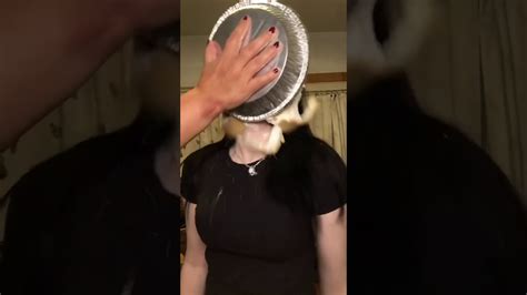 Cute Girl Pied In The Face Youtube