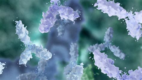 Polyclonal Antibody Sequencing Repab