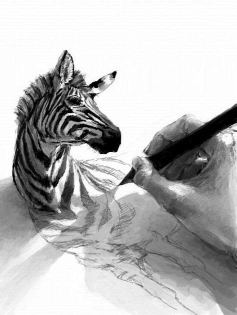 Expert Drawing Tips and Techniques for Beginners