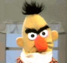 Bert Meme - Bert - Discover & Share GIFs