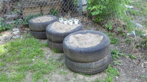 How To Plant Potatoes In A Stack Of Tires