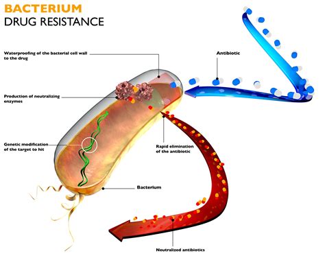 Antimicrobial resistance - The Pharmaceutical Journal