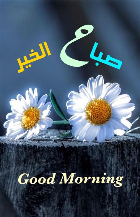 صباح الخير Good Morning Images Flowers Good Morning Good Night Good