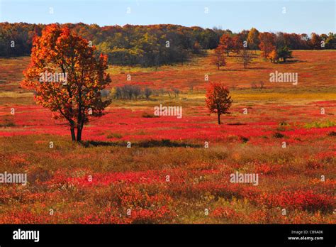 Big Meadows Shenandoah National Park Virginia Usa Stock Photo Alamy