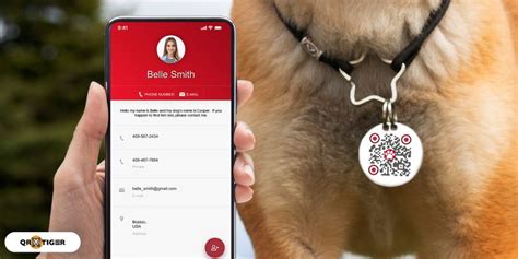 QR Code For Pets How To Digitize Your Pet ID Tags