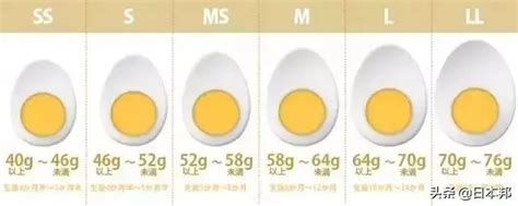 日本的生雞蛋究竟哪裏不同？為什麼可以直接生吃？ ＊ 阿波羅新聞網