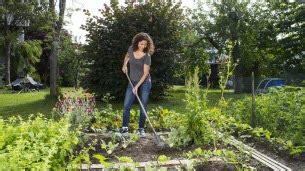 Jardinage Cinq Conseils Pour Bien Nourrir Le Sol De Votre Potager A