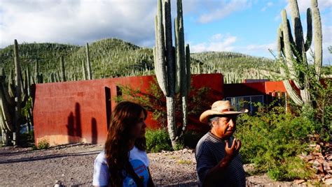 Zapotitlán Salinas Y San Juan Raya Reserva De Cactus Y Huellas De