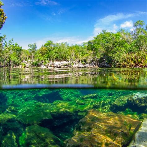 The Ultimate Guide To Exploring Top Cenotes Near Cancun - Cancun Sun