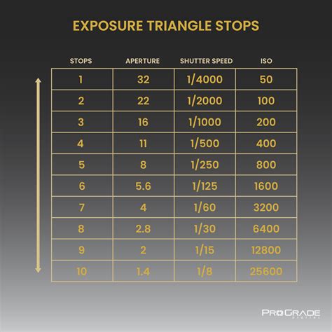 Understanding The Exposure Triangle Prograde Digital