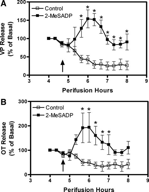 Vasopressin Vp A And Oxytocin Ot B Release From Perifused Hns