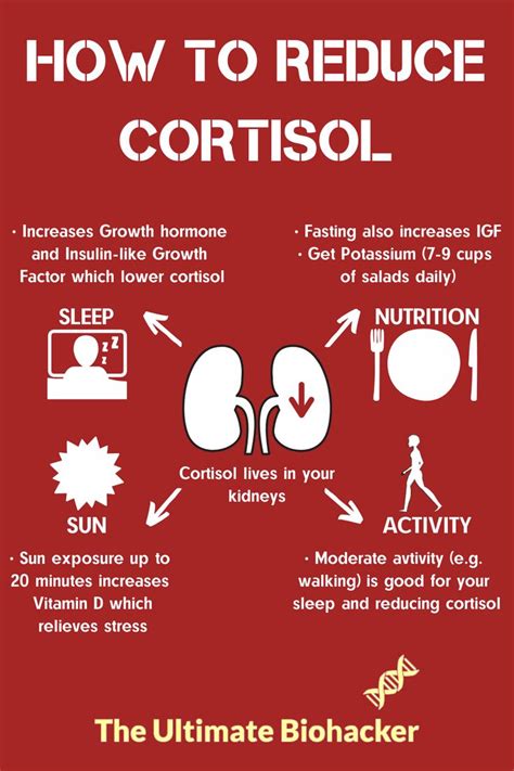 A Guide To Reducing Cortisol Levels