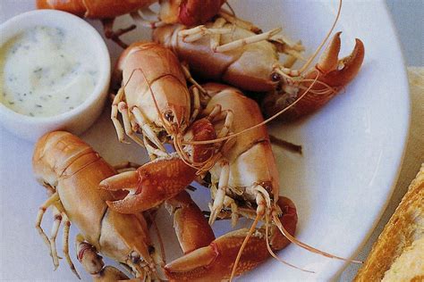 Cooked yabbies with dill mayonnaise - Recipes - delicious.com.au