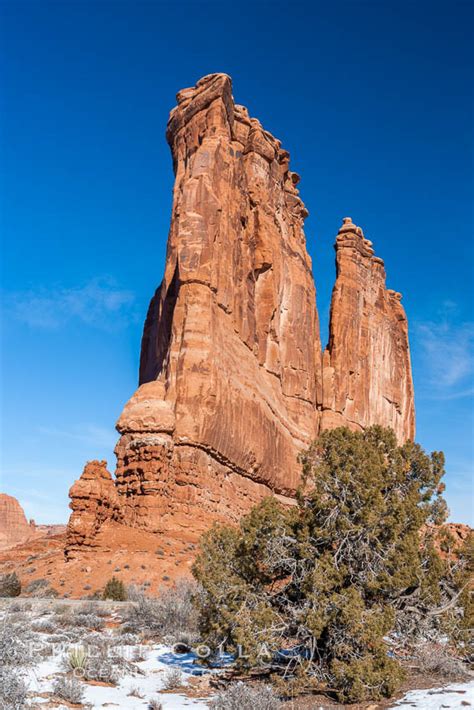 The Organ Courthouse Towers Arches National Park Utah 18198