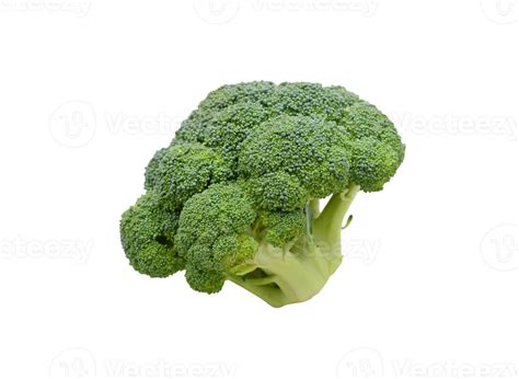 Broccoli Png Transparent Background 29711013 Png