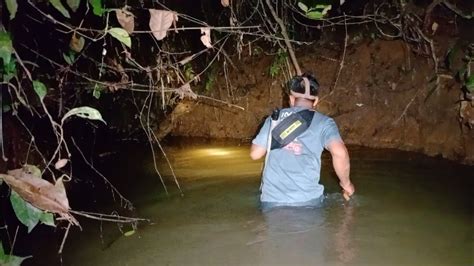 Mencari Rezeki Di Sungai Semak Belukar YouTube