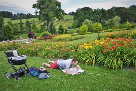 Arboretum W Wojs Awicach Spacer Z Dzieckiem W Ogrodzie Jak Z Bajki