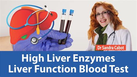 High Liver Enzymes Liver Function Test Explained Lfts Part 11