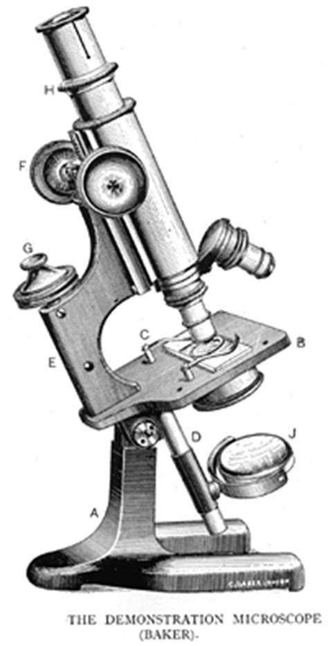 Diagram of Microscope Parts - Yenra