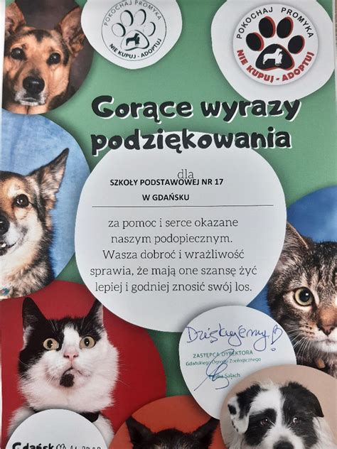 Wspieramy schronisko PROMYK Szkoła Podstawowa nr 17 im hetmana