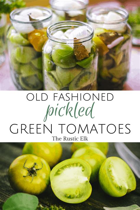 Pickled Green Tomatoes Artofit