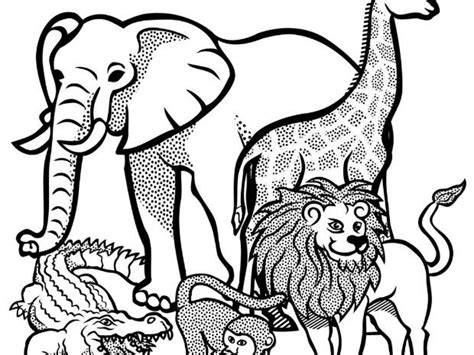 WILD ANIMALS Coloring Sheets (3) | Teaching Resources