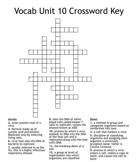 Vocab Unit 10 Crossword Key Wordmint