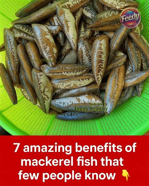 Feedy - Did you know 7 Health Benefits of Mackerel🥸 | Facebook
