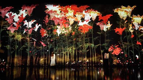 Tokyos Teamlab Borderless Digital Art Gallery Is Reopening In February