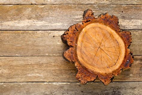 Freshly Cut Hardwood Cross Section Of Tree Showing Growth Lines Stock