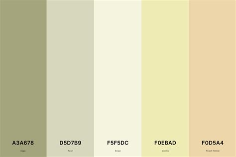 25 Best Sage Green Color Palettes With Names And Hex Codes