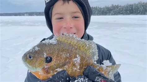 EPIC Bluegill Hooked In FREEZING Conditions YouTube