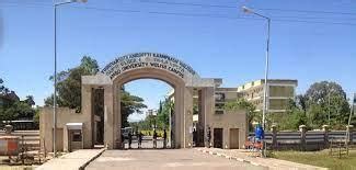 Sewasew | Ambo University(አምቦ ዩኒቨርሲቲ)