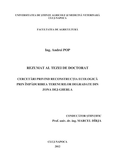 PDF Ing Andrei POP REZUMAT AL TEZEI DE DOCTORAT DOKUMEN TIPS