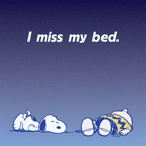 I Miss My Bed Snoopy Snoopy Love Charlie Brown And Snoopy