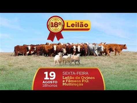 18º Leilão Fazenda Sonho e Realidade 1ª ETAPA Ovinos e Fêmeas P O