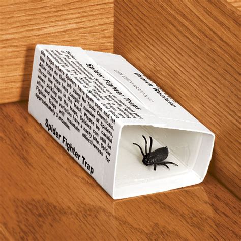 Spider Traps Set Of 6